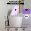 Toilette pour bidet intelligente à pleine lumière Los Flexi 956 avec siège UV amovible pour enfant, réservoir d'eau intégré, couvercle à ouverture / fermeture automatique, capteur de pieds, lavage instantané à l'eau chaude, siège chauffant, séchoir à air chaud, panneau latéral et télécommande , 1,28 GPF, 12 po brut-126171276
