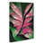Wrapped Canvas selected