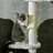 100.5'' Dorrelis Cat Tree