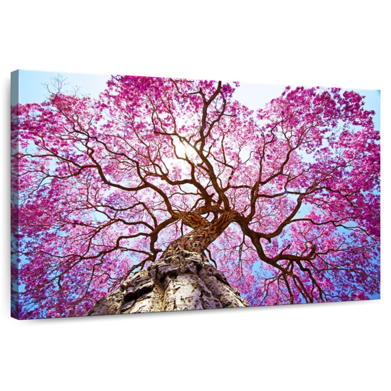 Harnek Pink Lapacho Tree, 34" H x 51" W