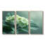 Kristi - ensemble d'art mural hortensia-107164797-107164817