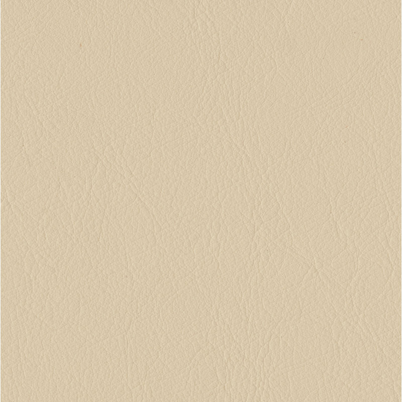 Elan Ivory Sample