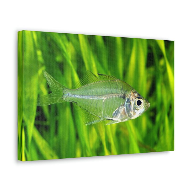 Wall Art on Canvas