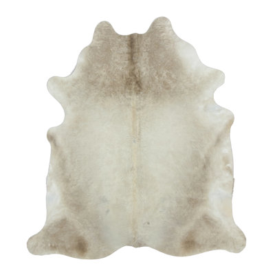 Modern Hand Woven Area Rug