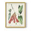 «Turpin Tropical Botanicals I», reproduction encadrée - bois massif-556369576
