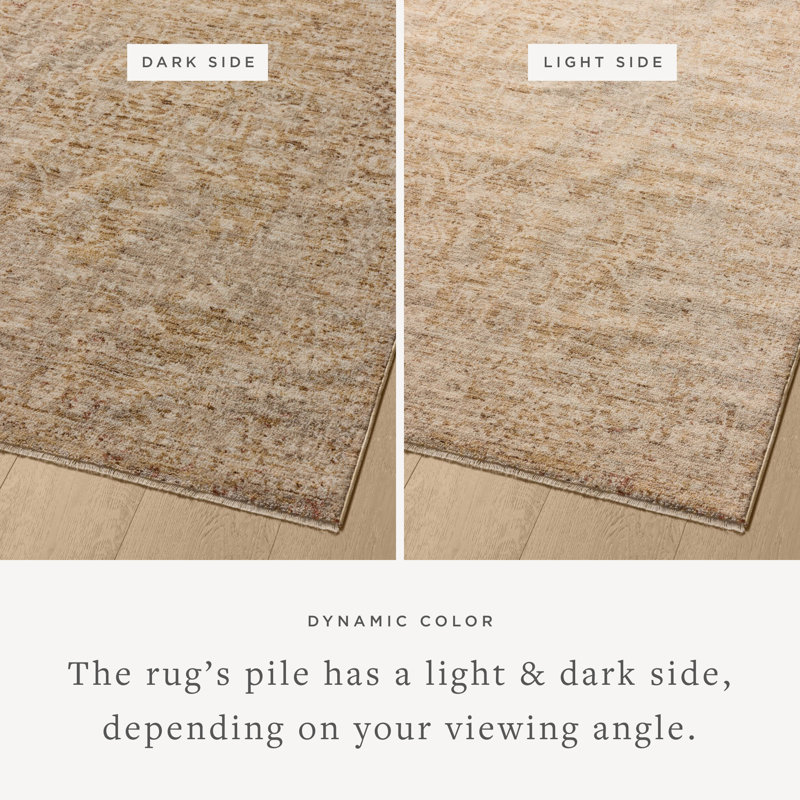 Bungalow Rose Allysan Wheat / Natural Area Rug, Runner 2'7" x 8'