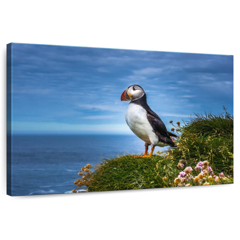 Crowle Latrabjarg Puffin Bird