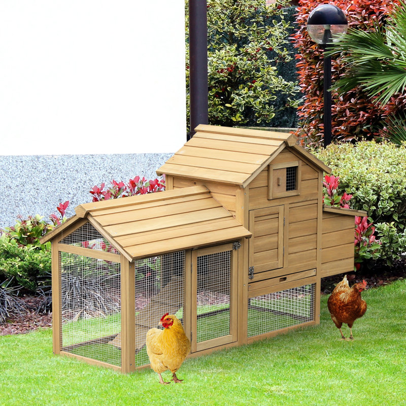 Poulet compact en bois 59 po - 2 portes, nichoir, plateau amovible pour coureurs Scaly Cr Run: construction, confort