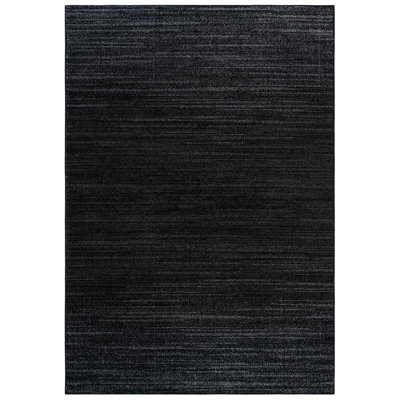 Adirondak Black/Ivory Area Rug