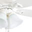 Ventilateur de plafond d'intérieur à DEL 52 po Glen Alden