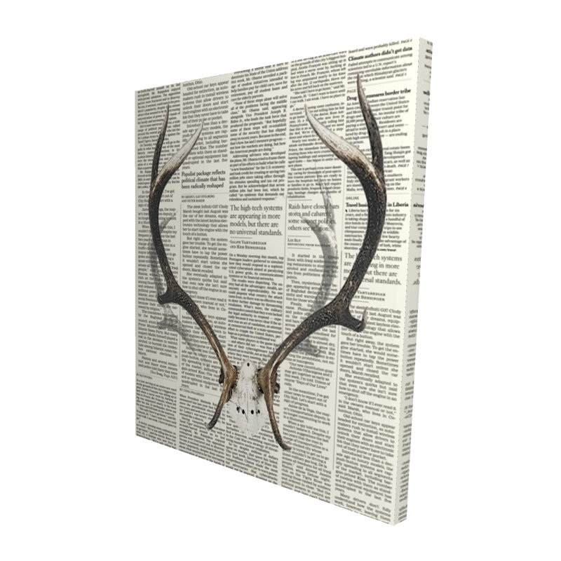 Deer Horns with Newspaper - Rustic Canvas Home Decor