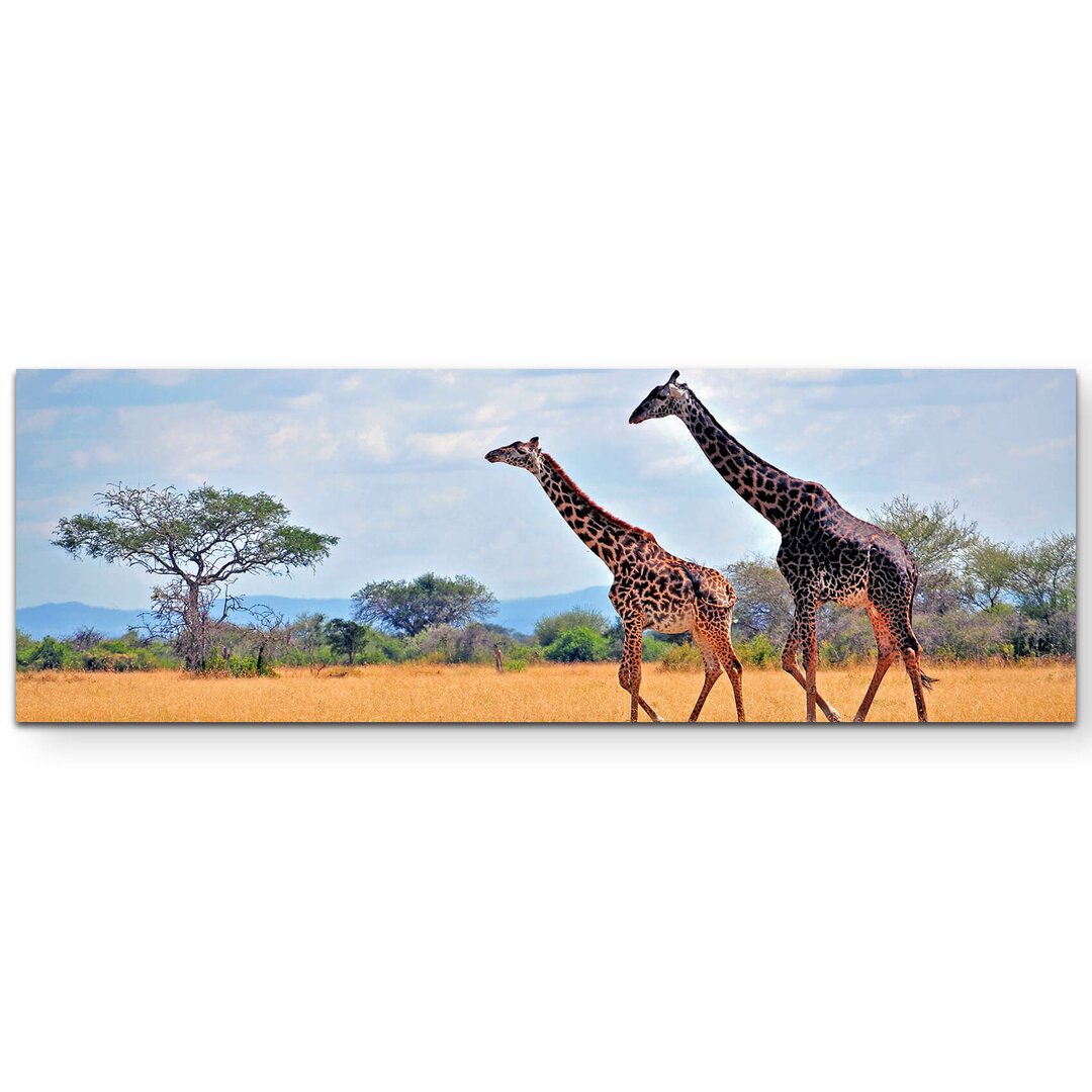 Leinwandbild Ein Giraffenpaar in der afrikanischen Steppe