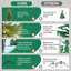 Arbre de Noël vert 6,5 pi en PVC + PE avec 350 lumières UL blanc chaud, 2142 pointes, branches articulées, aiguilles réalistes, support en métal robuste, assemblage facile-2136230142