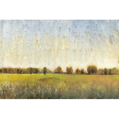 Flowering Meadow II by Tim OToole - Wrapped Canvas Painting