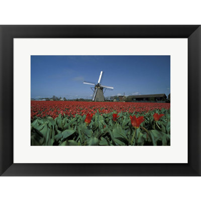 Landscape & Nature Wall Decor on Paper