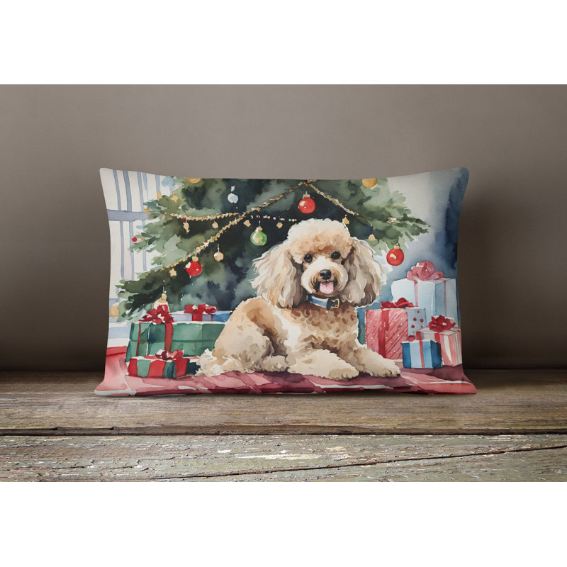 Other/No Pattern Outdoor Throw Pillow