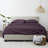 Solid Microfiber Ultra Soft Sheet Set-411728339-411728329