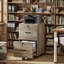 Brandice 15.7'' Wide 2 -Drawer Mobile File Cabinet