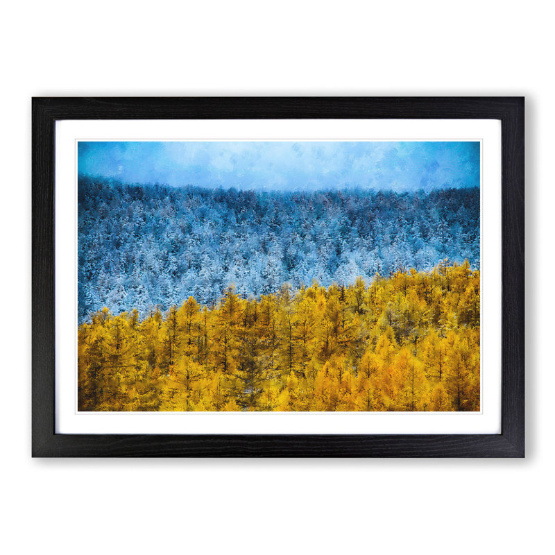 The Two Forests - Picture Frame Graphic Art Print, 45cm H x 63cm W x 2cm D, Black Framed