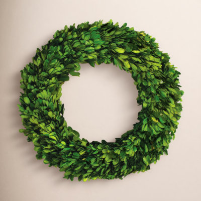 Birch Lane™ Alby 31" Boxwood Wreath