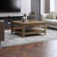 Weddel Basilico Coffee Table with Storage-2142787172
