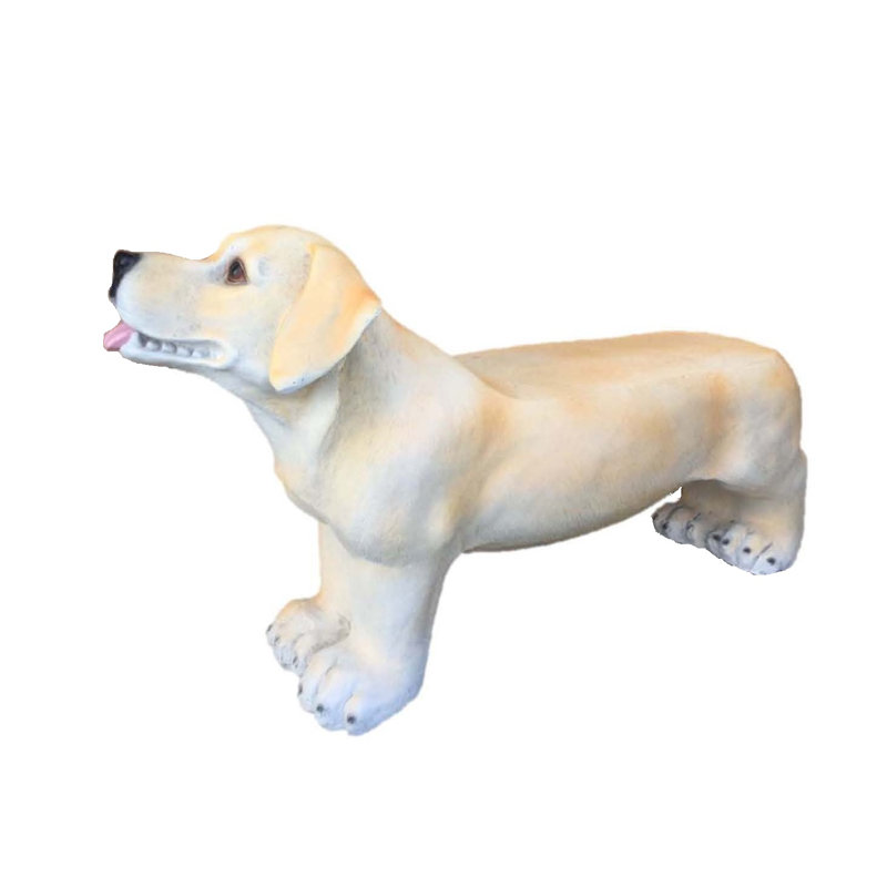 Banc 32 po Labrador, Jaune