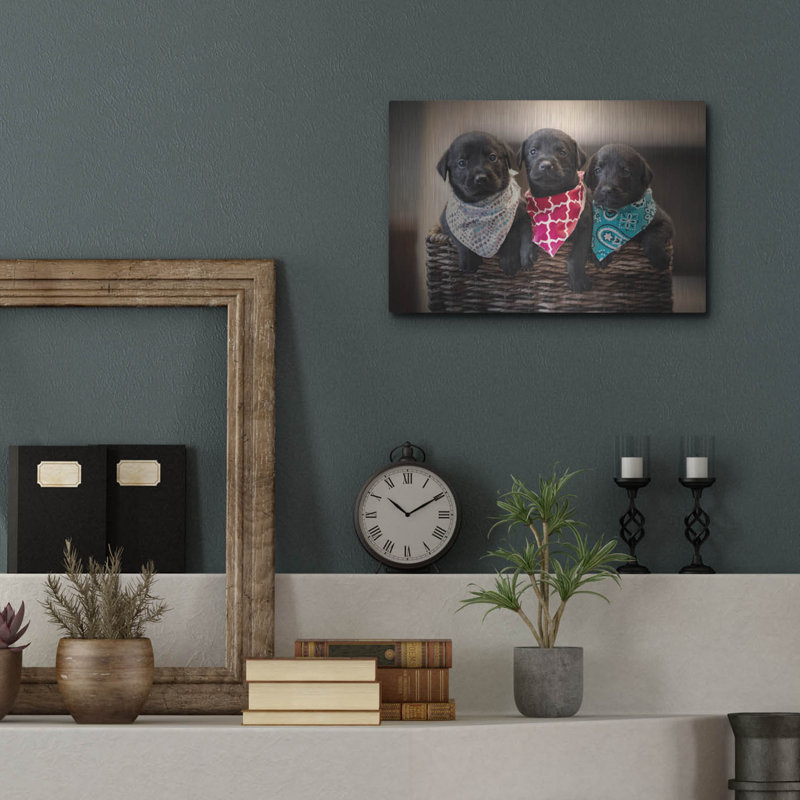 " Black Lab Pups 2 " by Jonathan Ross, 12" H x 16" W