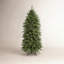 Arbre Norfolk 5 '3m