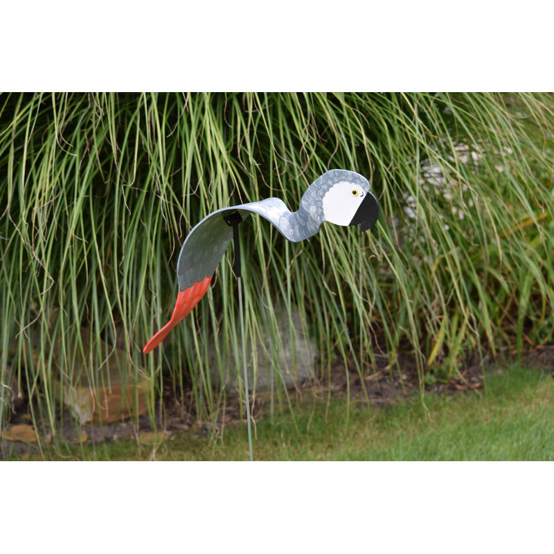 Art de jardin perroquet gris royal africain