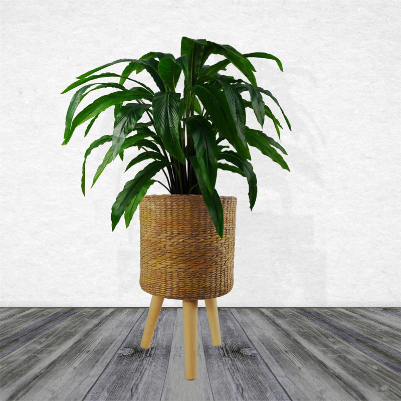 Cachepot