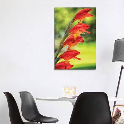 Red Tropical Flower by Glauco Meneghelli - Wrapped Canvas Print