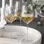 Glass White Wine Glass