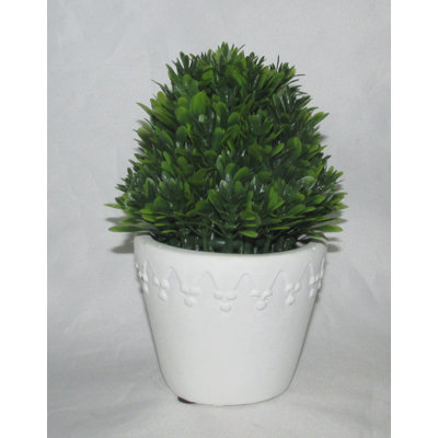 7'' Faux Boxwood Topiary in Ceramic Pot