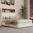 Full Size Velvet Tufted Soft Bed Frame With USB Port And Night Light,52''High Headboard With Rivet Decoration,Wing-Back Platform Bed With Headboard Shelf,Beige-769682893-769682895