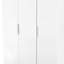 Biernat Manufactured Wood Wardrobe