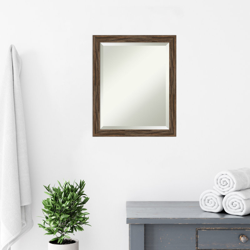 Miroir de salle de bain Dunaghy, 22,62 po x 18,62 po