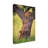 Bolog Mohammed Alnaser Climbing Cub Canvas Art-109321469