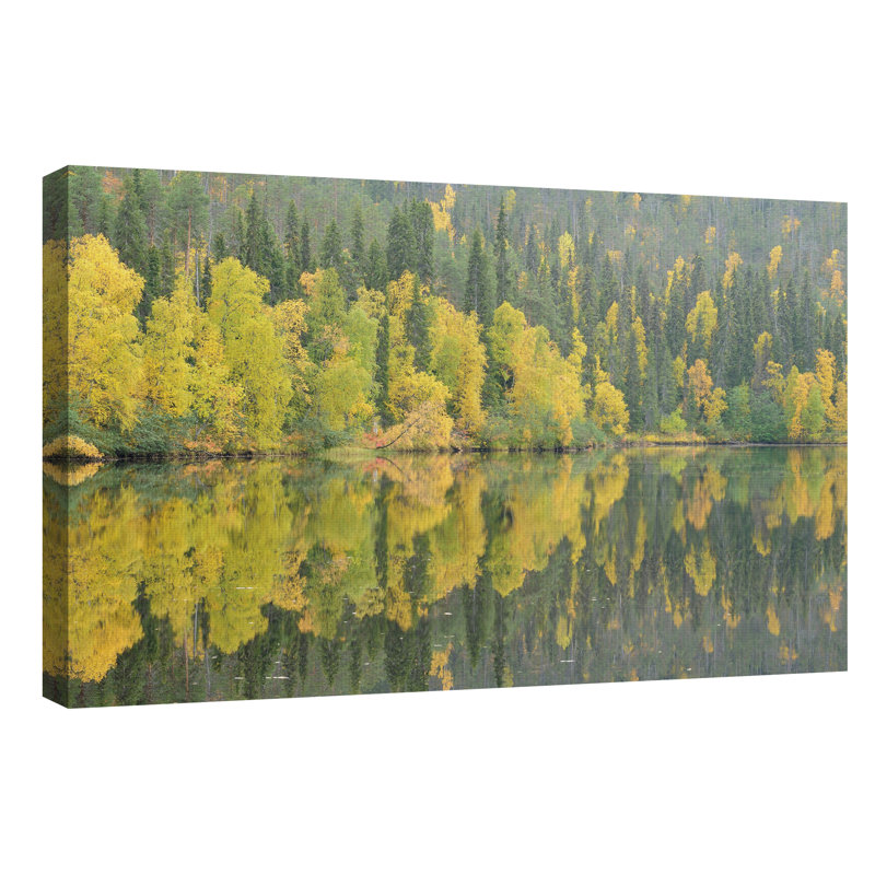 Vibrant Green and Yellow Forest Landscape Canvas Print