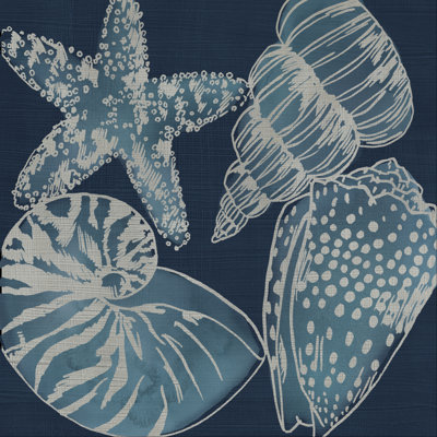 " Marine Shells I " by Chariklia Zarris Painting Print