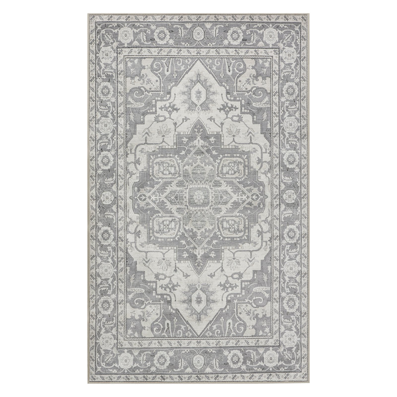Nilay Chenille Washable Oriental Indoor Rug, Rectangle 5' x 7'