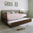 Odean Daybed with Trundle Bed-529682321