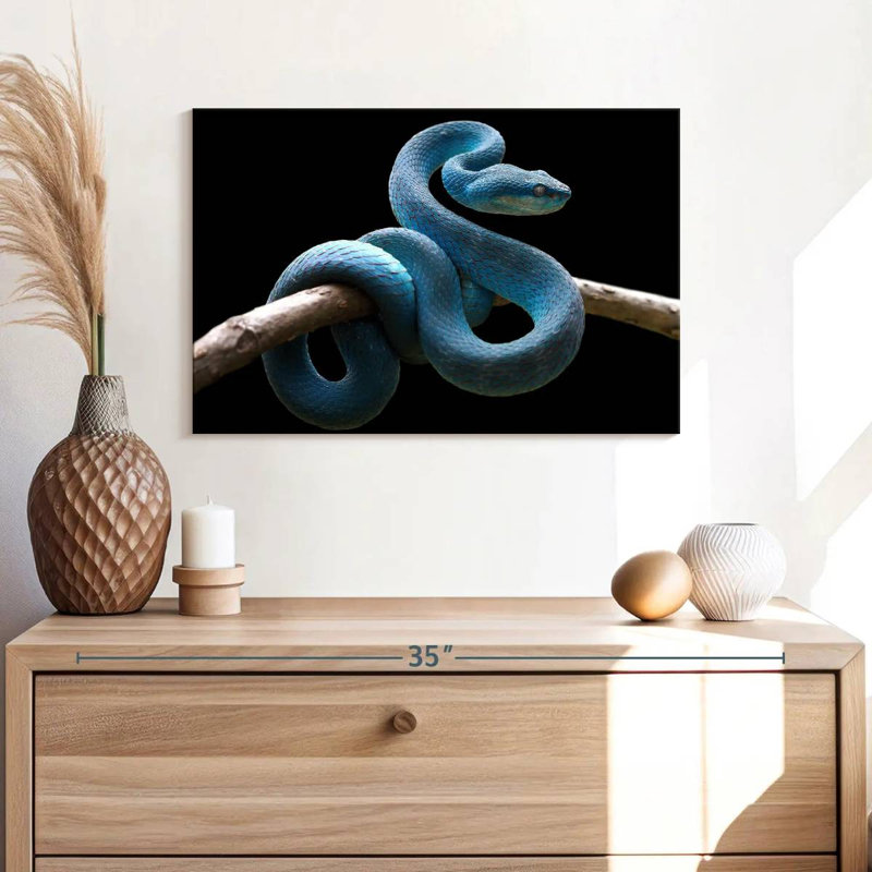 Brampt Blue Viper Snake, 16" H x 24" W