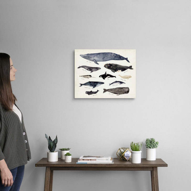 «Baleine graphique III» par Victoria Barnes - impression sur toile, H 16 po x l 20 po x P 1,25 po, Toile tendue