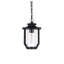 Luminaire suspendu d'extérieur noir Alfonsina 7 pouces