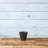 Carrero Pot Planter-579612685-579612681