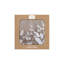 Set of 6 Natural Foliage Coasters