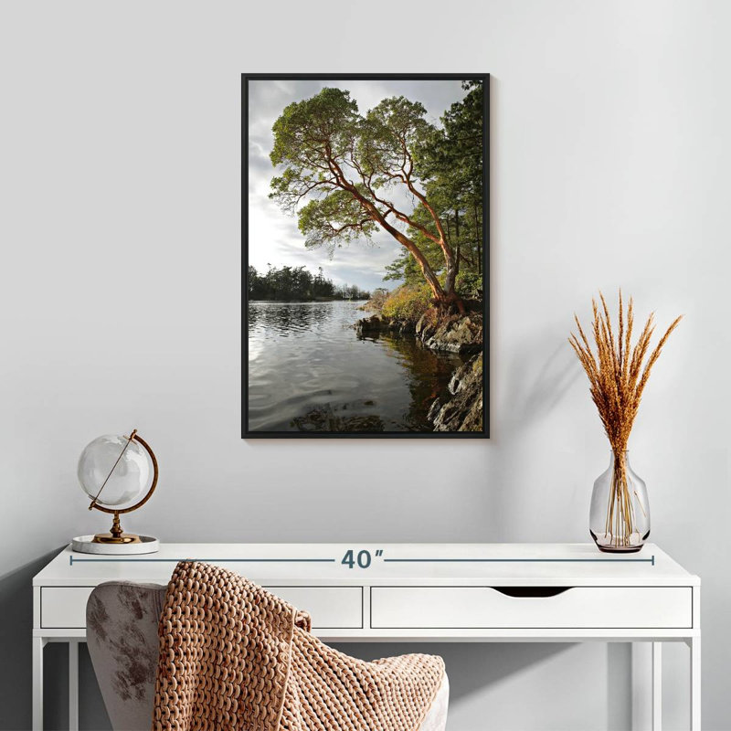 Arbousier au bord de l'eau, Cadre flottant noir, 17 po x 25 po
