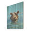 Hippopotame gris sur fond gris-2076364485