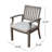 Outdoor Modern Aluminum Dining Chair With Cushion (Set Of 2)