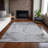 Wellsboro Indoor/Outdoor Area Rug with Non-Slip Backing-1847711486